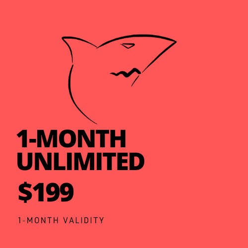 1 Month Unlimited Access