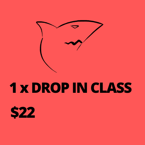 1 X CLASS DROP IN