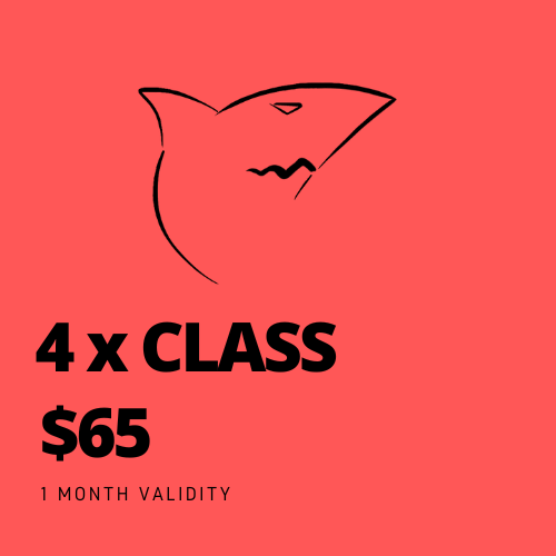 4 x CLASS (SALE)
